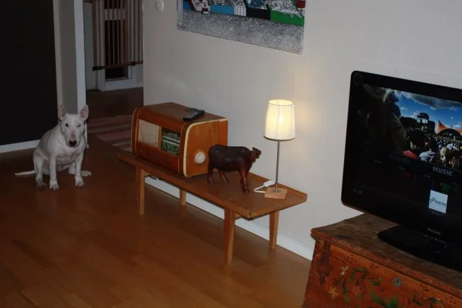 Radio XBMC Radio XBMC