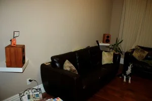 rear speakers rear speakers